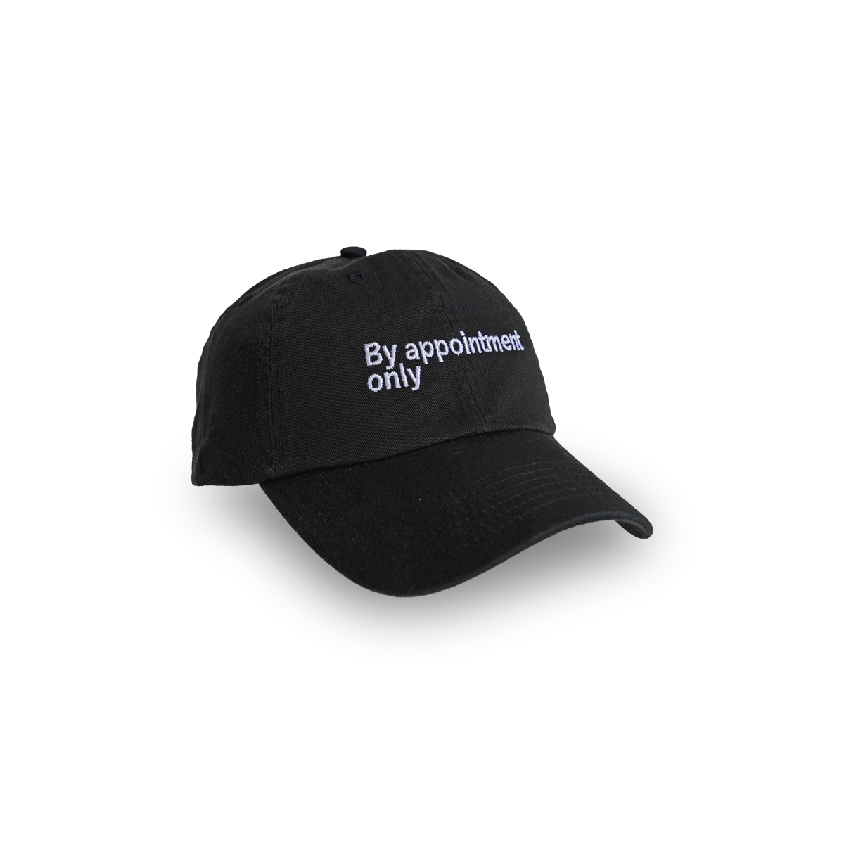 BY APPOINTMENT - DAD HAT - FROM Tyler René Angelo